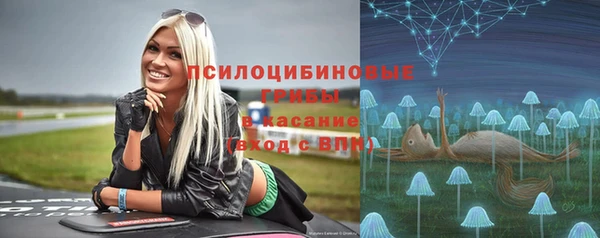 спайс Аша