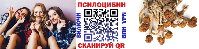Галлюциногенные грибы MAGIC MUSHROOMS  купить  цена  Топки 