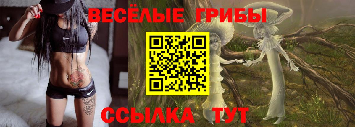 Топки  Псилоцибиновые грибы ЛСД  Вход с VPN 